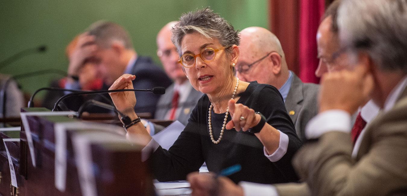 Representative Daley speaking into microphone and pointing forward at hearing